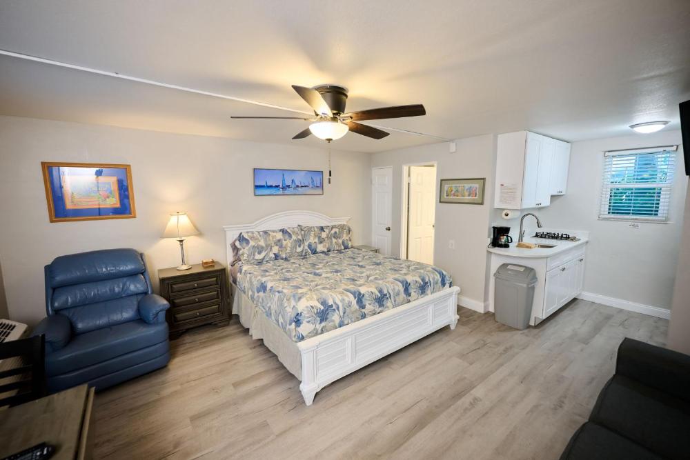 King Studio with Sofa Bed interior